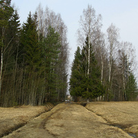 Павловский парк