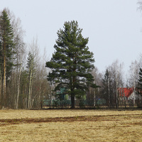 Павловский парк