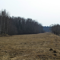 Павловский парк