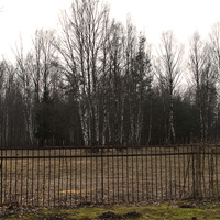 Павловский парк