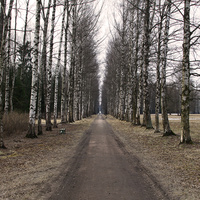 Аллея в парке