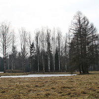 Павловский парк