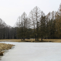 Павловский парк