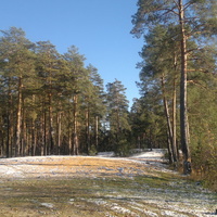 Степуринские леса
