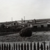 Вид на конный двор 1985 год
