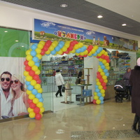 Сыктывкар 2015