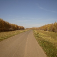 Дорога в деревню