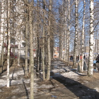 Сыктывкар 2015