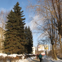 Сыктывкар 2015 - ул. Коммунистическая