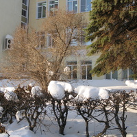 Сыктывкар 2015 - ул. Коммунистическая