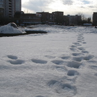 Сыктывкар 2015