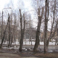 Сыктывкар 2015 - ул. Коммунистическая