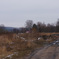 Деревня Тростники