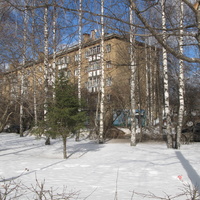 Сыктывкар 2015 - ул. Коммунистическая