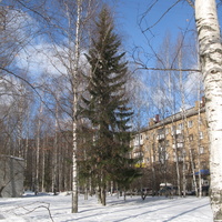 Сыктывкар 2015 - ул. Коммунистическая