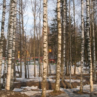 Сыктывкар 2015 - Мичуринский парк