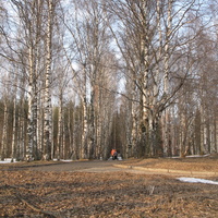 Сыктывкар 2015 - Мичуринский парк