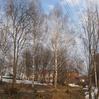 Сыктывкар 2015 - Мичуринский парк