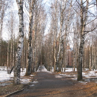 Сыктывкар 2015 - Мичуринский парк