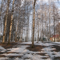 Сыктывкар 2015 - Мичуринский парк