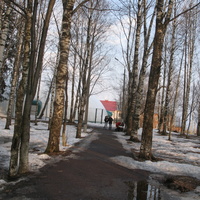 Сыктывкар 2015 - Мичуринский парк