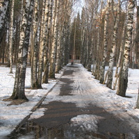 Сыктывкар 2015 - Мичуринский парк