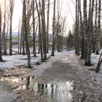 Сыктывкар 2015 - Мичуринский парк