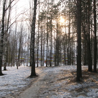 Сыктывкар 2015 - Мичуринский парк