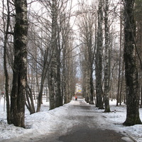 Сыктывкар 2015 - Мичуринский парк