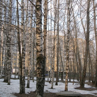 Сыктывкар 2015 - Мичуринский парк