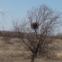 Сады-огороды...
