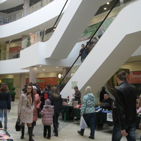 Сыктывкар 2015 - ТРЦ Парма