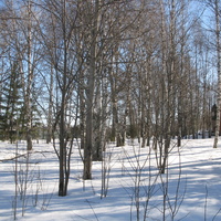 Сыктывкар 2015 - детский парк