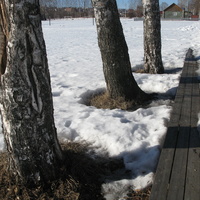 Сыктывкар 2015 Заречье