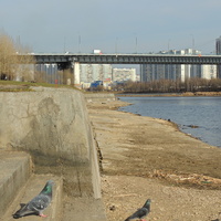 Набережная Москвы реки