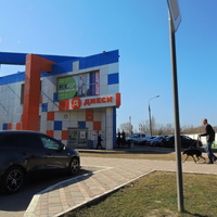 Улица Куйбышева, Дикси