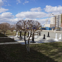 На улице Ялтинской.