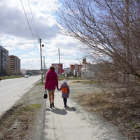 На улице Волкова.