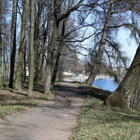 Дорожка в парке