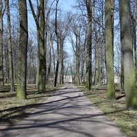 Дорожка в парке