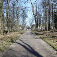 Дорожка в парке