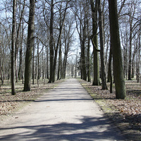 Дорожка в парке