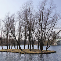 Большой пруд