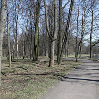 Дорожка в парке