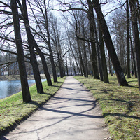 Дорожка в парке