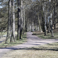 Екатерининский парк