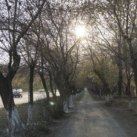 На проспекте Мира.