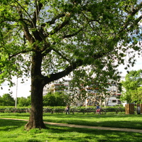 Annecy-le-Vieux 2014