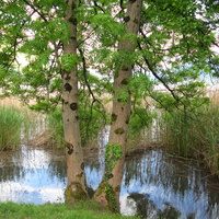 Annecy-le-Vieux 2015