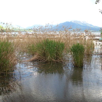 Annecy-le-Vieux 2014